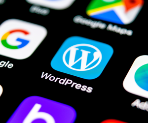 Powerful WordPress 구축